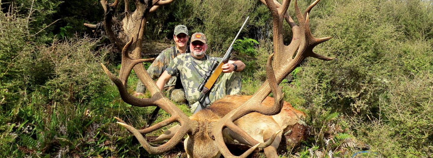 Red Stag Trophy Hunting