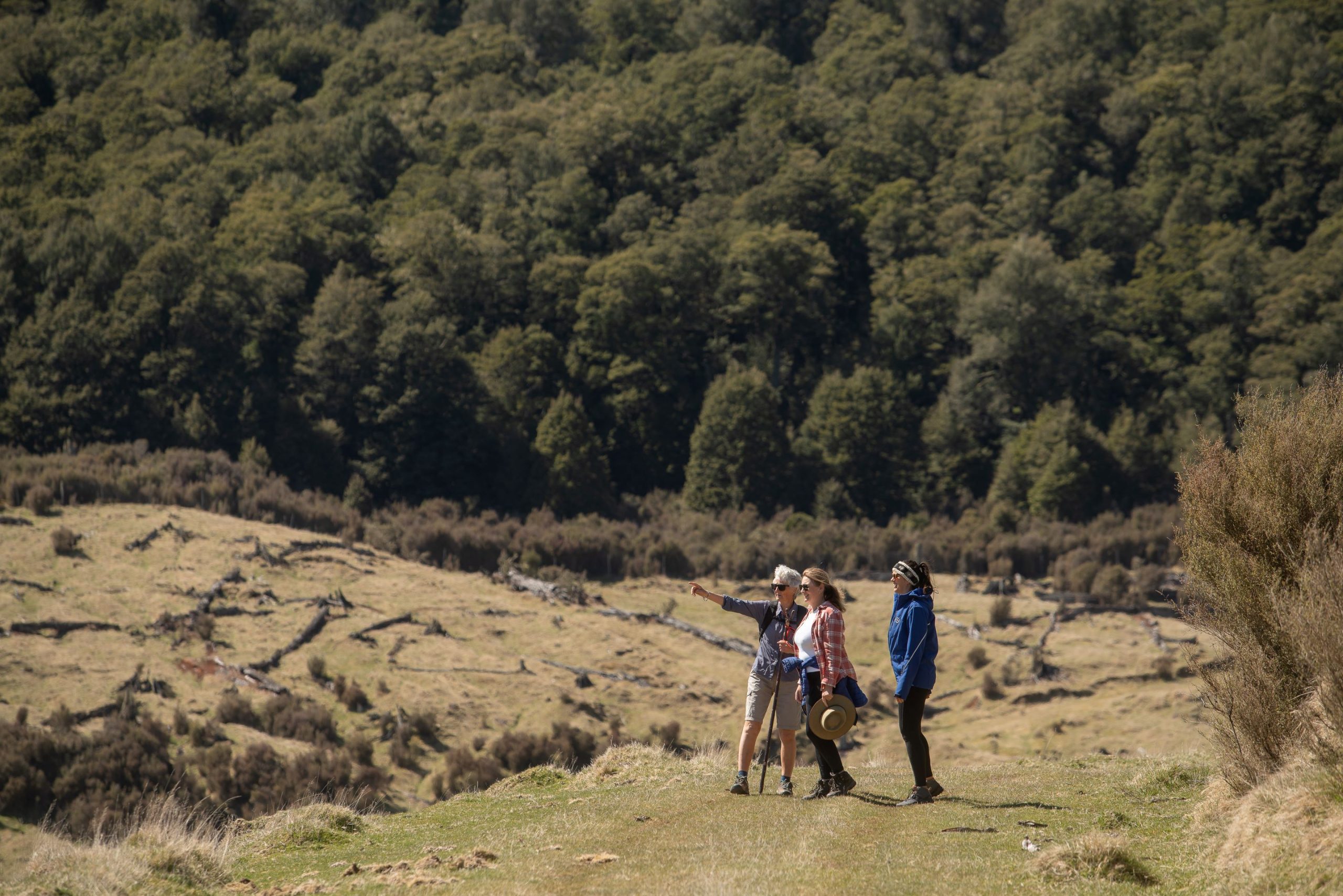 Walking & Hiking