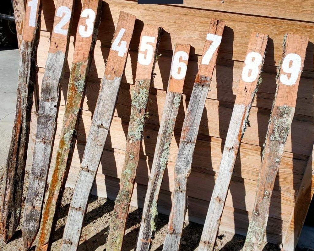 wooden planks used for bird hunting