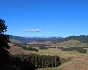 Poronui landscape