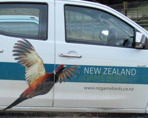 gamebird car in poronui lodge