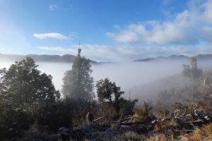 Poronui Hill in Fog