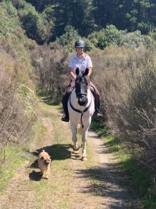 happy women riding horse in poronui